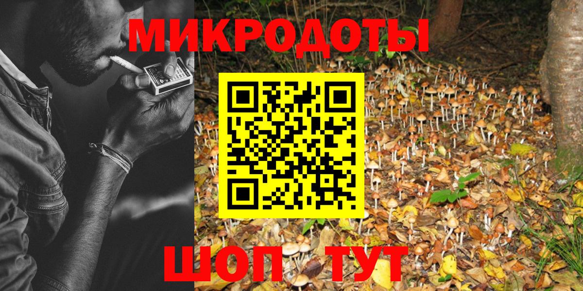 Псилоцибиновые грибы GOLDEN TEACHER Тутаев