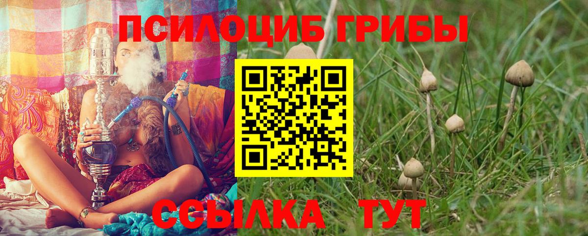 Тутаев  Галлюциногенные грибы мухоморы  Вход с VPN 